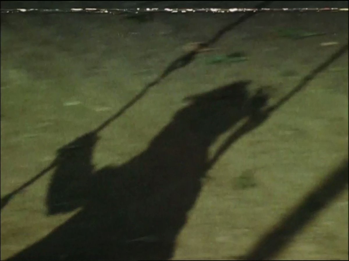 Twitter Image