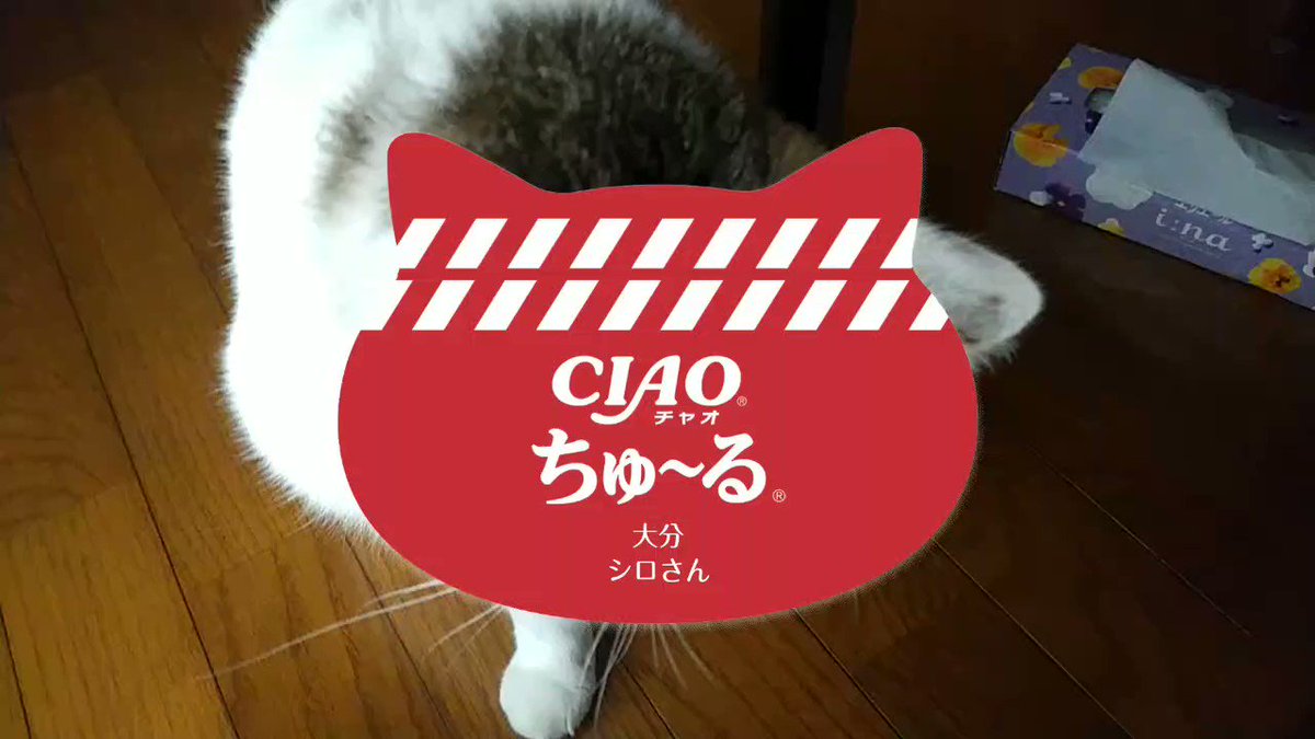 🍢シロさんa.k.a.えりん🍢 スクショ転載禁止🤣🤣🤣 (@x90suzuki