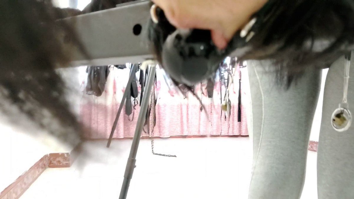 Video oleh @subdom123456