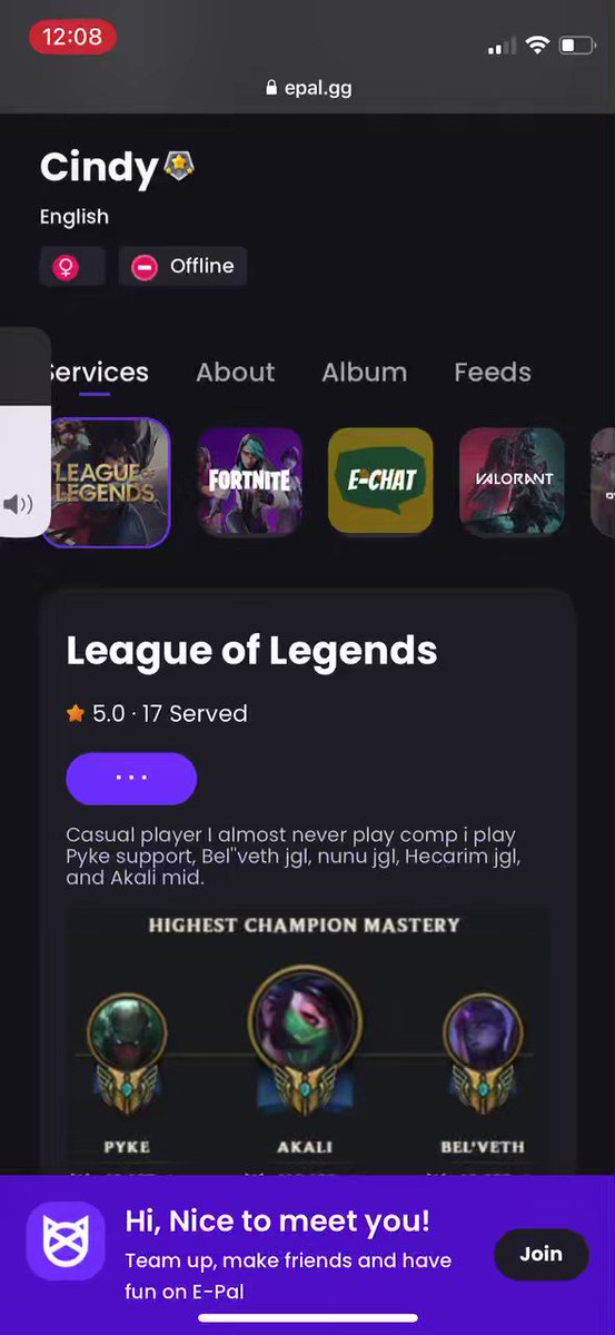 E-Pal: Team up, Make Friends, and Have Fun
