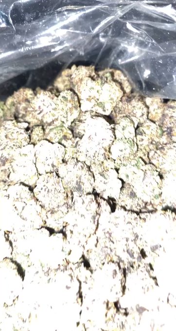 tap tf in just came from cali $75 zips all week long ⛽️⛽️⛽️😈💜 https://t.co/yjK0vIxToZ