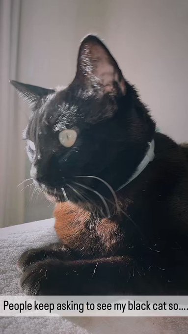You keep asking for it ?‍⬛?✨ https://t.co/tBdtHfFwnq