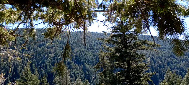 wanna see the full 2 1/2 hrs of trees, mountains, wind, nature, mountain top, greenery.... go to my channel<a href="/tag/modeling"class="tags"><span>#modeling</span></a><a href="/tag/timeforpics"class="tags"><span>#timeforpics</span></a><a href="/tag/t4p"class="tags"><span>#t4p</span></a>