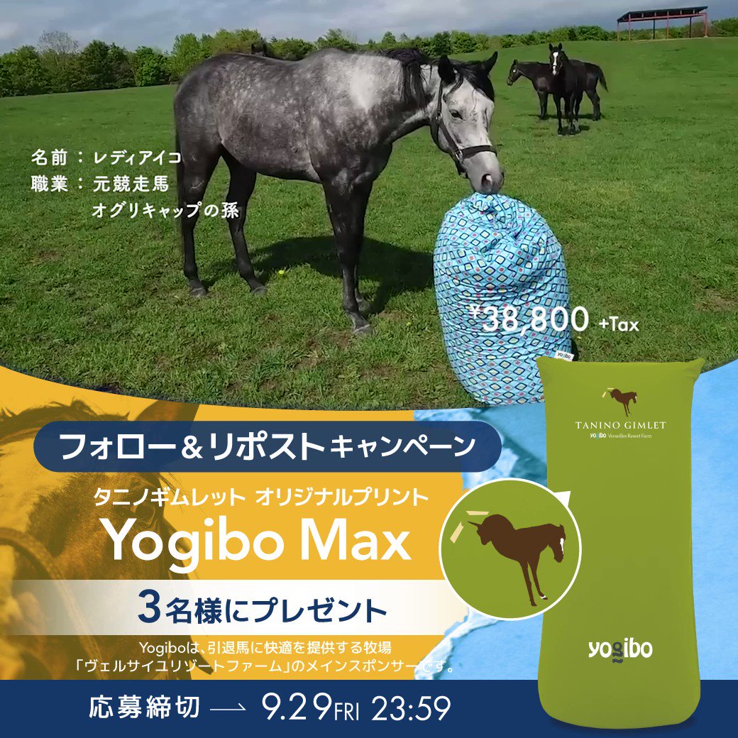 値下げ タニノギムレット現地単勝馬券セット 値下げ タニノギムレット現地単勝馬券セット 値下げ