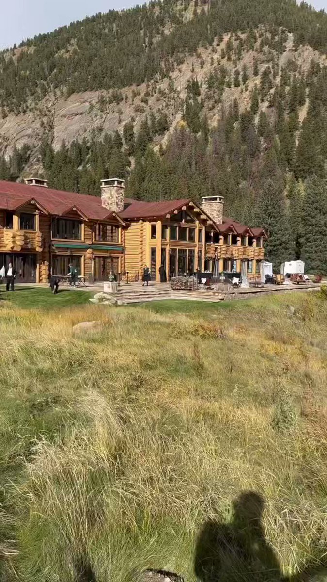 Alex Martinez🦊 @AlexxMartineezz - Twitter Profile | Sotwe