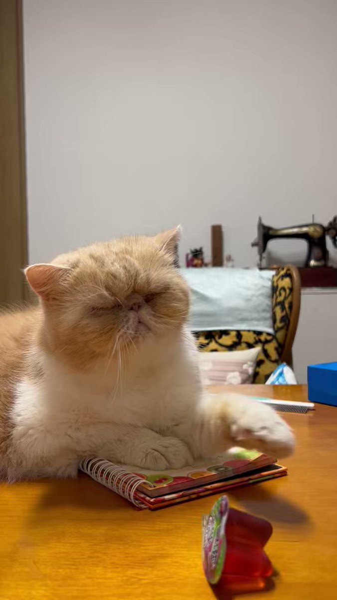 @OncLe40114orO1V's video Tweet