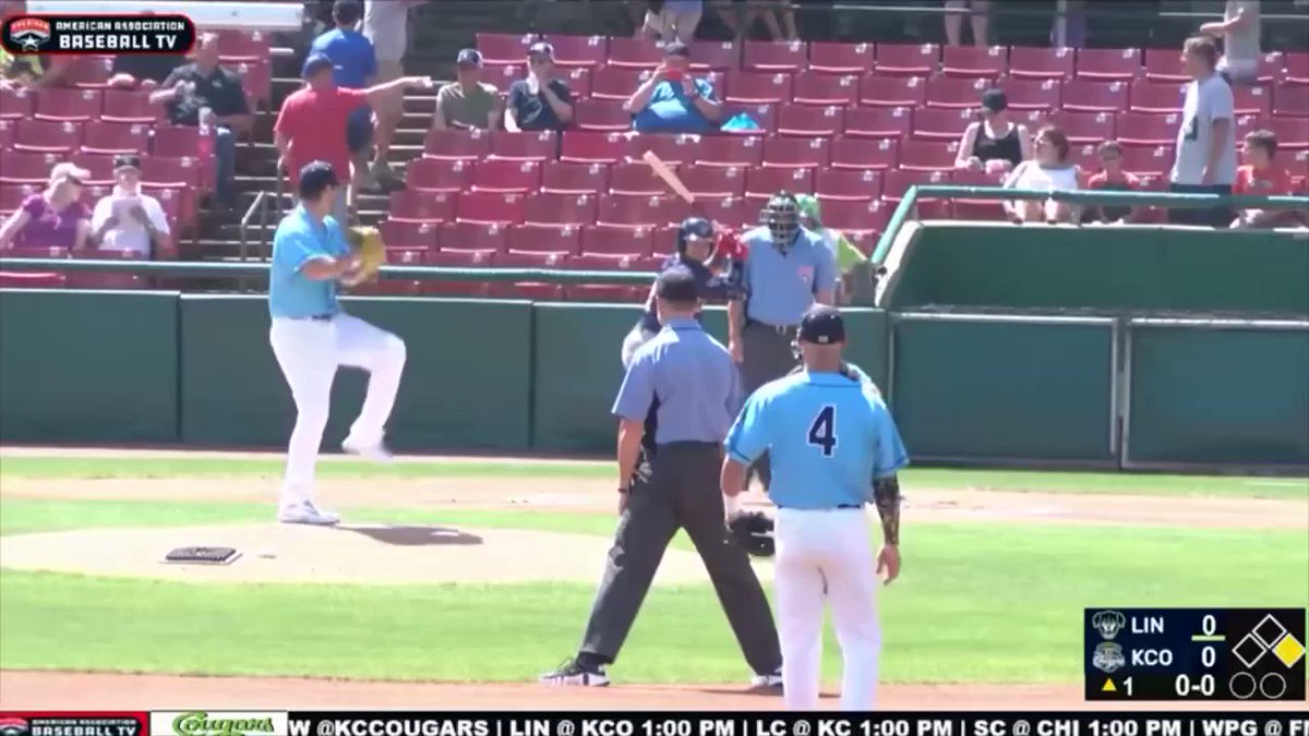 American Association of Professional Baseball - Lincoln Saltdogs