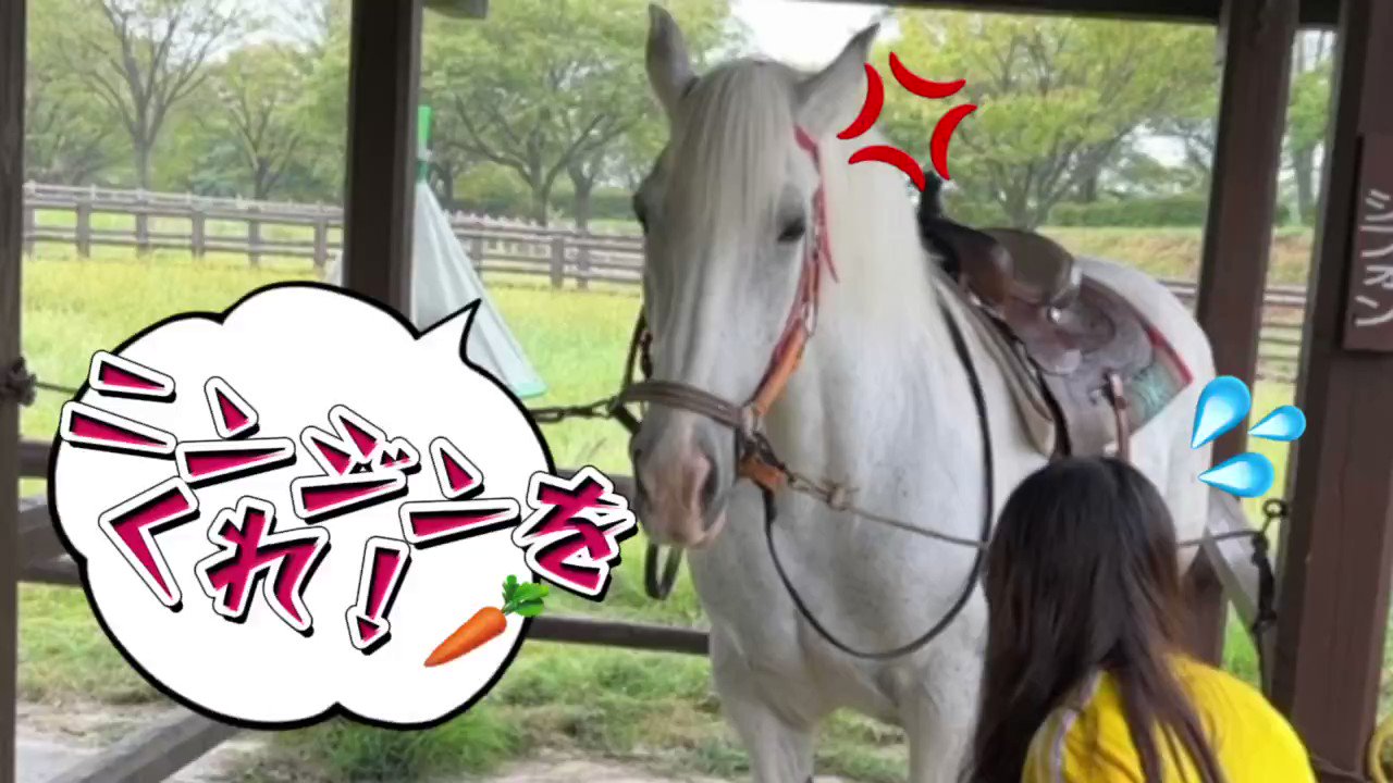 ⭐️トリちゃん⭐️ リカちゃん人形 LD-13 ハッピータピオカタイム (りかちゃん