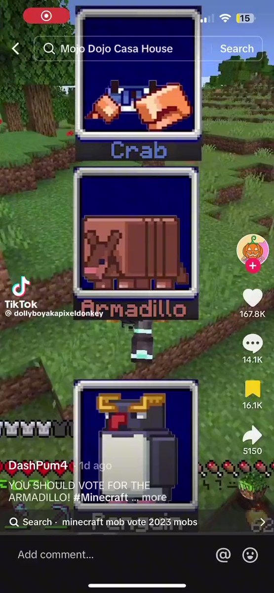 My Minecraft Earth Diary