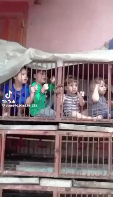 [分享] 以色列被俘兒童被關豬籠影片