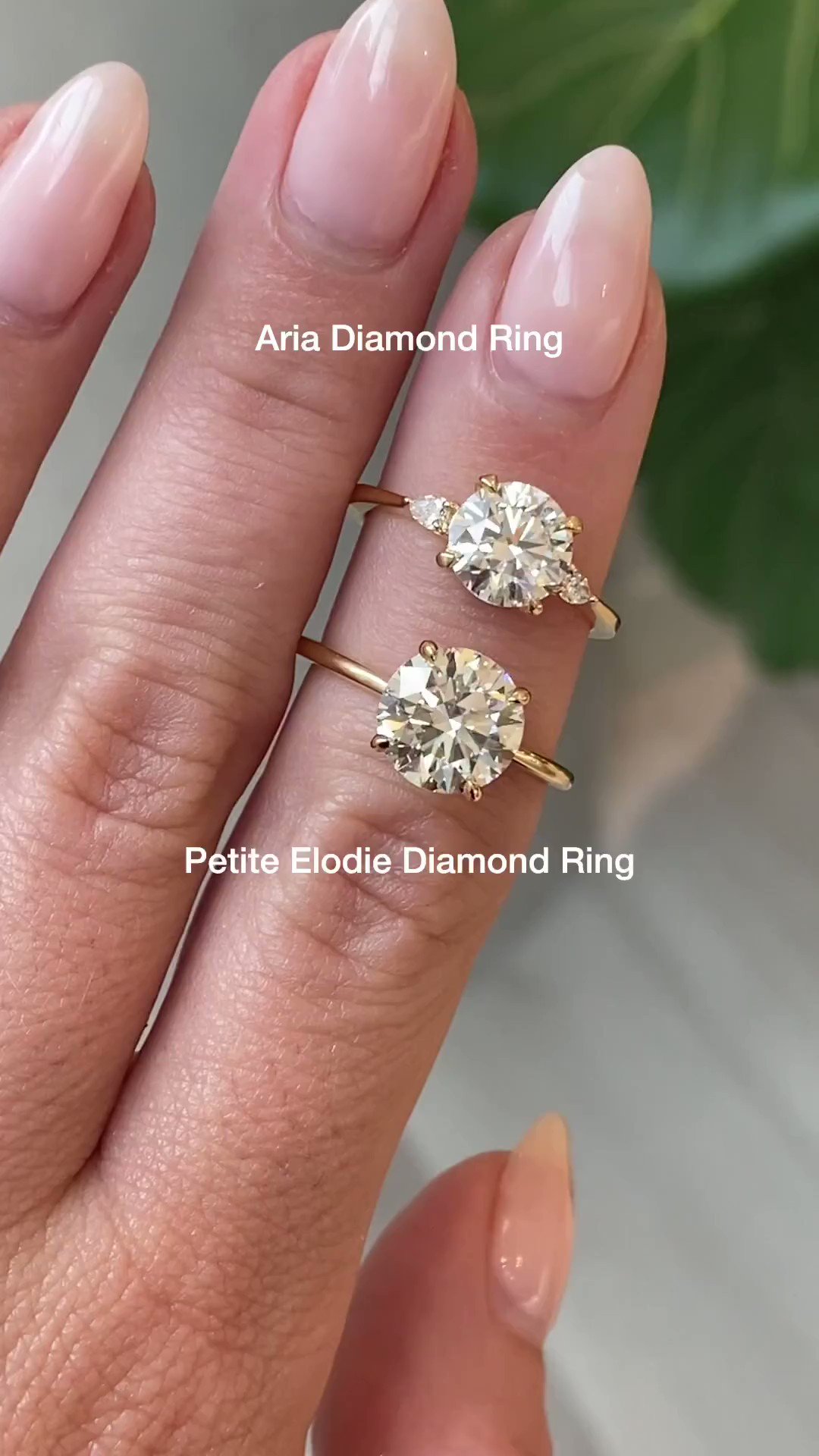 Aria ring deals brilliant earth