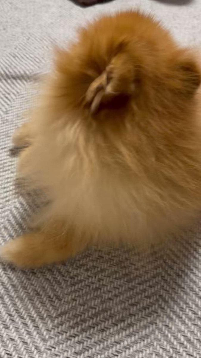 @690690moaa's video Tweet