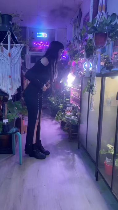 Come check out Plantpeace Nursery in Fort Walton beach 🖤🌱🖤  #fortwaltonbeach #florida #plants #cute #aestehtics<a href="/tag/cute"class="tags"><span>#cute</span></a><a href="/tag/florida"class="tags"><span>#florida</span></a><a href="/tag/plants"class="tags"><span>#plants</span></a><a href="/tag/fortwaltonbeach"class="tags"><span>#fortwaltonbeach</span></a><a href="/tag/aest"class="tags"><span>#aest</span></a>