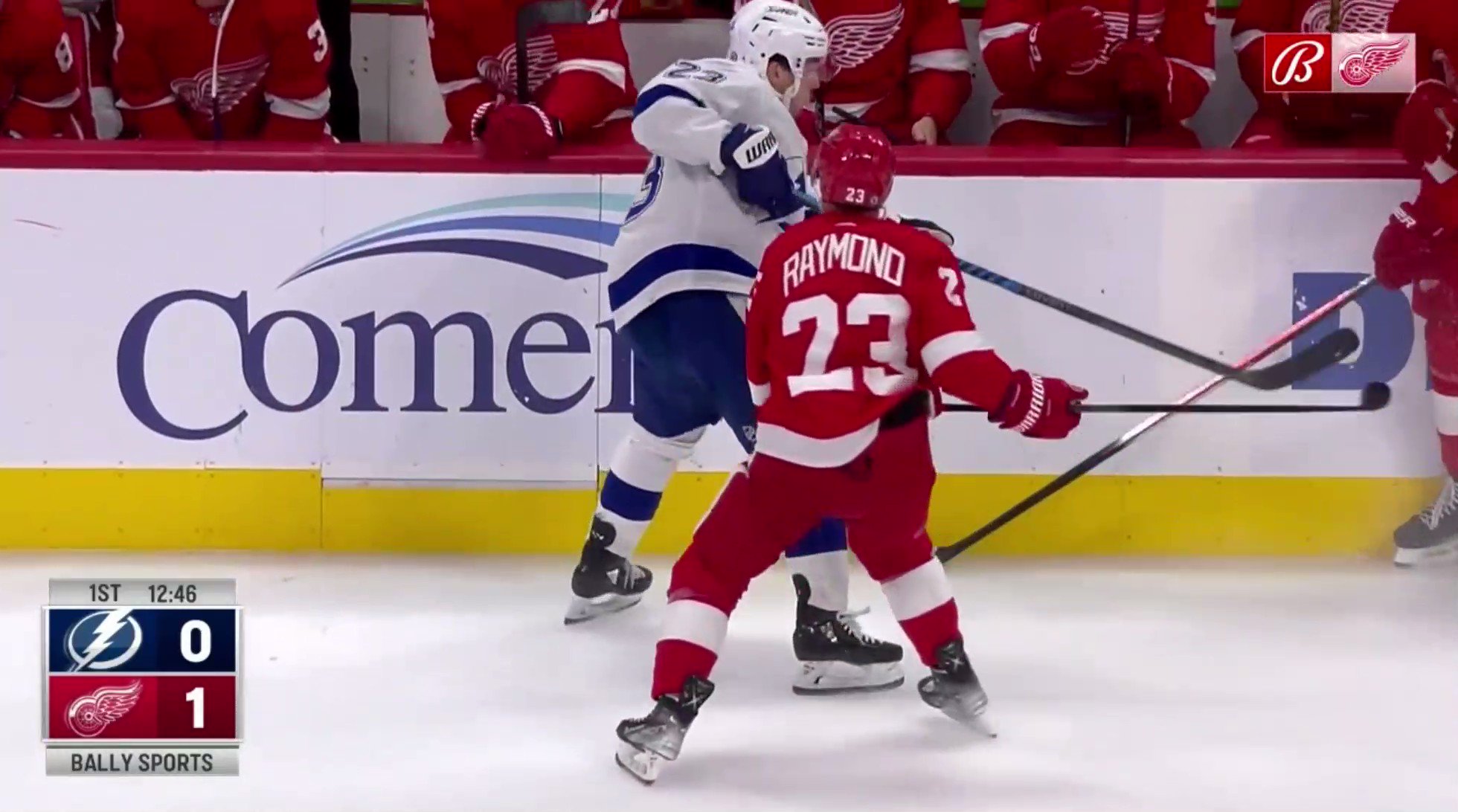 Lucas Raymond dumps Mikey Eyssimont into the Red Wings Bench 