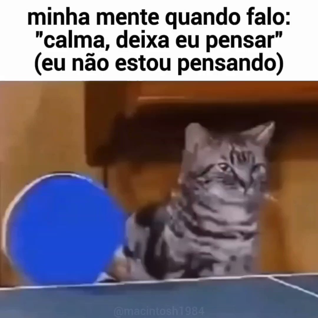 Vazado memes. Best Collection of funny Vazado pictures on iFunny Brazil