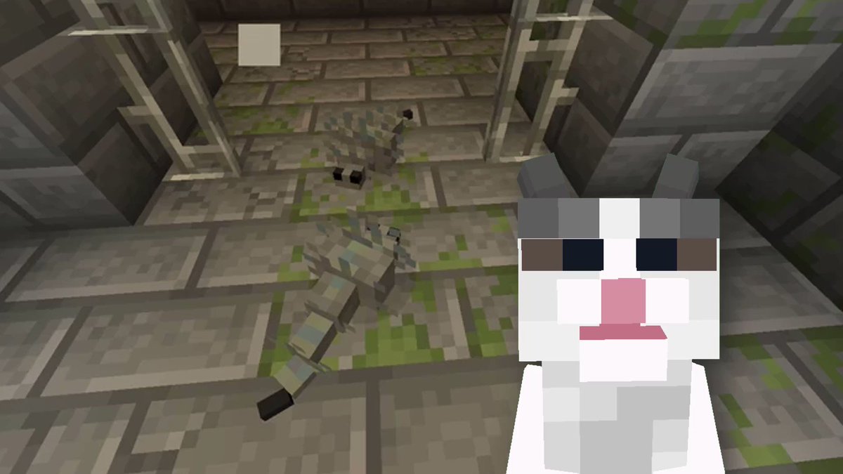 Joosh on X: All Creeper Overhaul & Enderman Overhaul variants