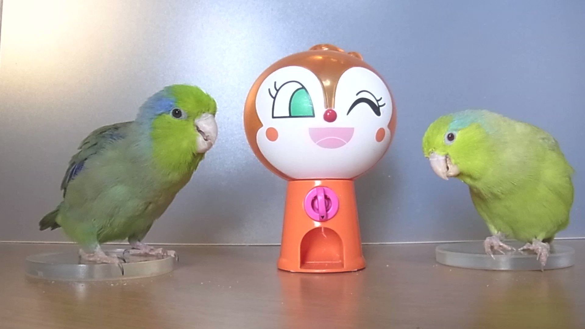 ドキンちゃん様 m30867809950_1.jpg?1736732177