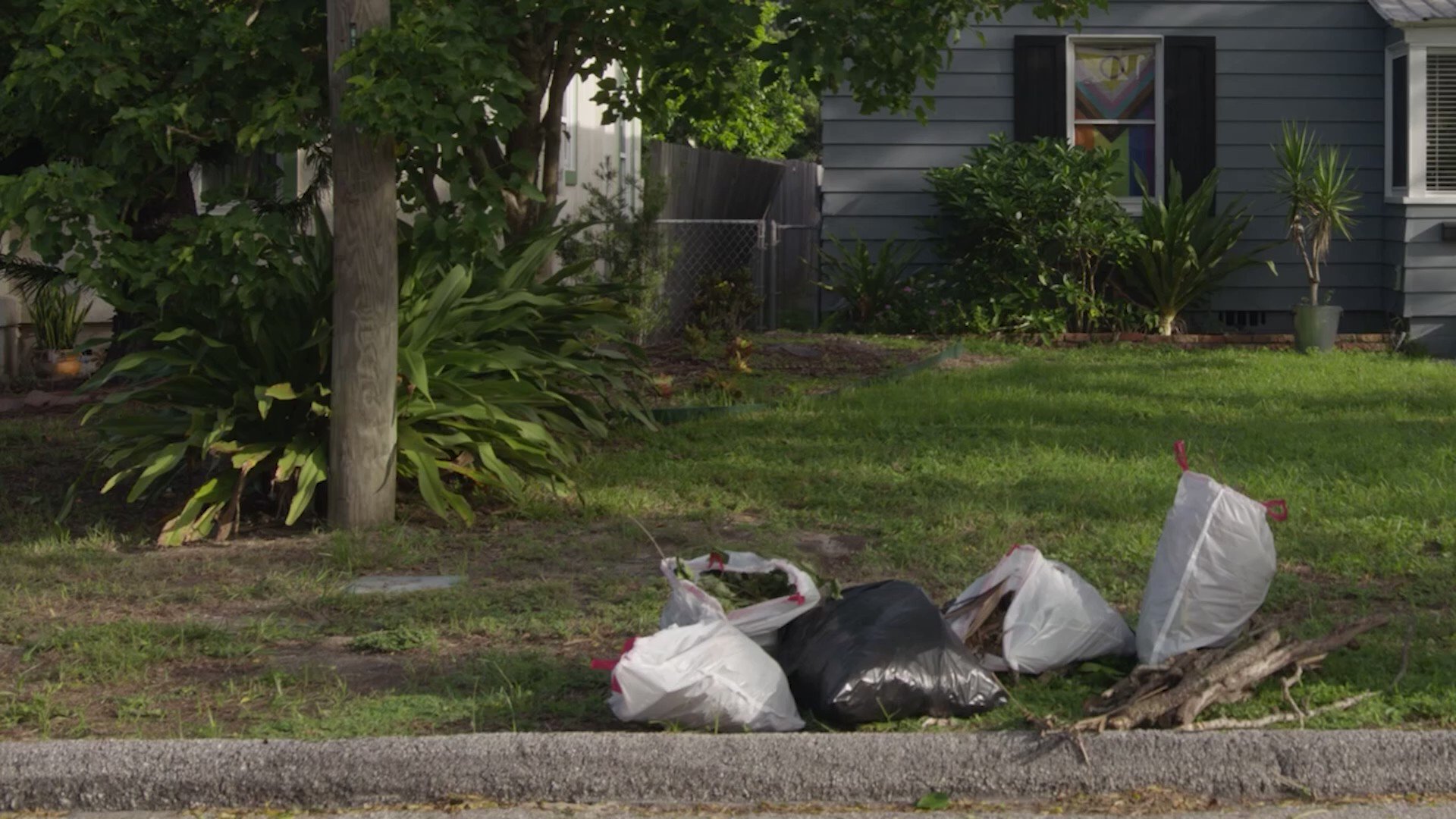 Tampa to stop accepting yard waste in plastic bags on Feb. 1