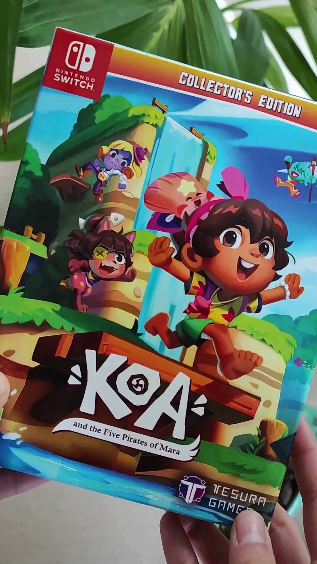 Koa and the Five Pirates of Mara, Jogo Nintendo Switch