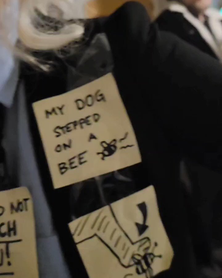 My Dog Stepped On A Bee Johnny Depp Trial Sweatshirt - Jolly Family Gifts