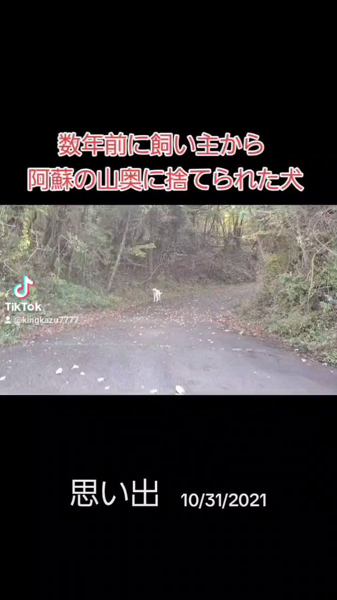 ゴン太様♡専用ページ♡ ゴン太 - Search / X