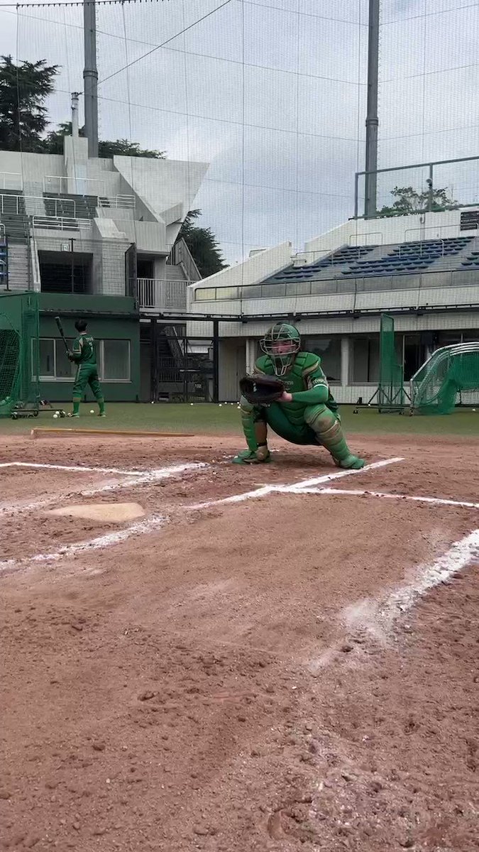 東京 ヴェルディ バンバータ B5日本代表 野球チーム ダウンジャケット M-