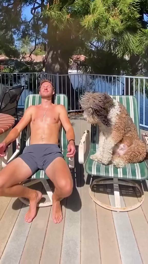 @_B___S's video Tweet