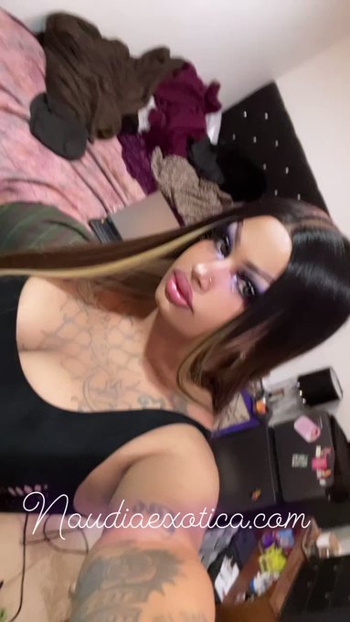 The One &amp; ONLY Black Lace Vixen 💜🖤  Follow me here: https://t.co/s6NX48IcWS #trans #ink #tattoo #Transsexual<a href="/tag/lgbt"class="tags"><span>#lgbt</span></a><a href="/tag/follow"class="tags"><span>#follow</span></a><a href="/tag/beauty"class="tags"><span>#beauty</span></a><a href="/tag/makeup"class="tags"><span>#makeup</span></a><a href="/tag/style"class="tags"><span>#style</span></a><a href="/tag/new"class="tags"><span>#new</span></a><a href="/tag/tattoo"class="tags"><span>#tattoo</span></a>