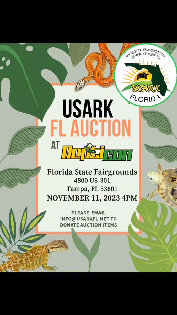 Gecko shirt (clearance sale)  USARK - United States Association of Reptile  Keepers
