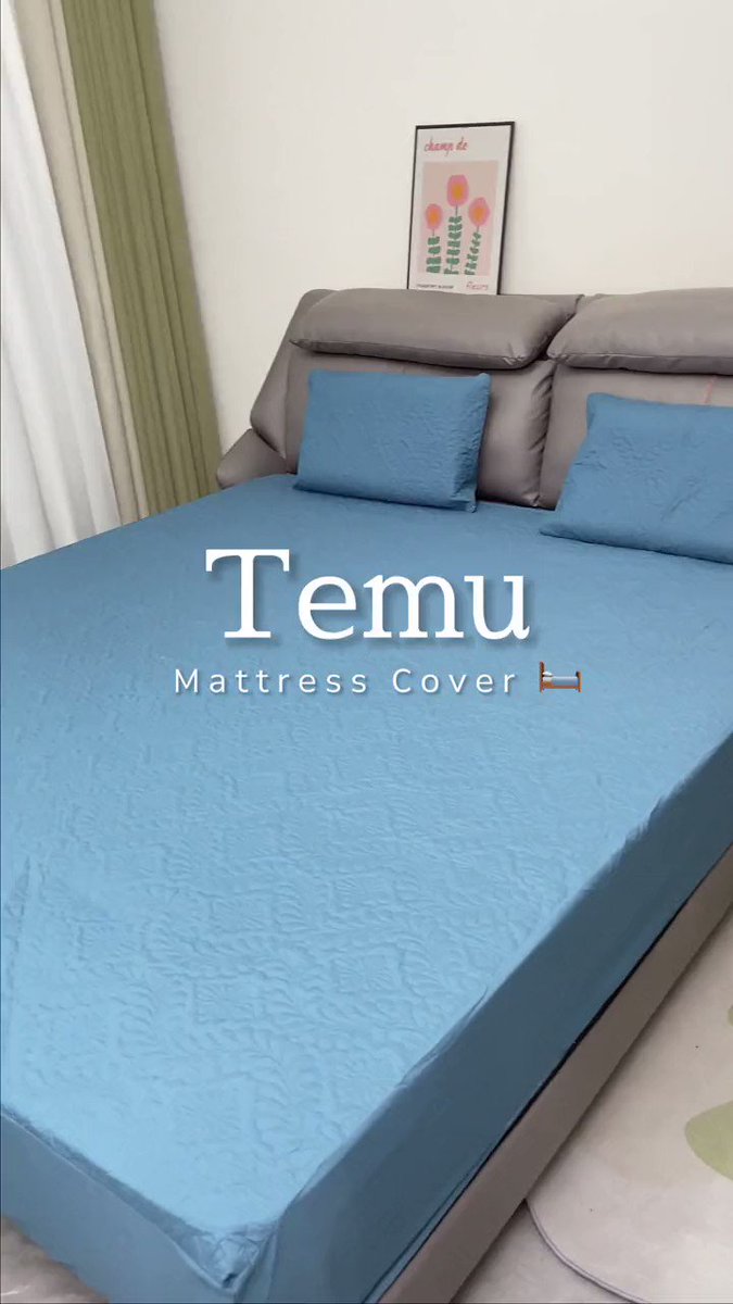 Temu (@shoptemu) / X