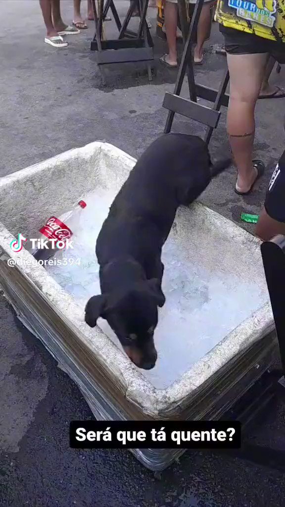 liberando boca gacha