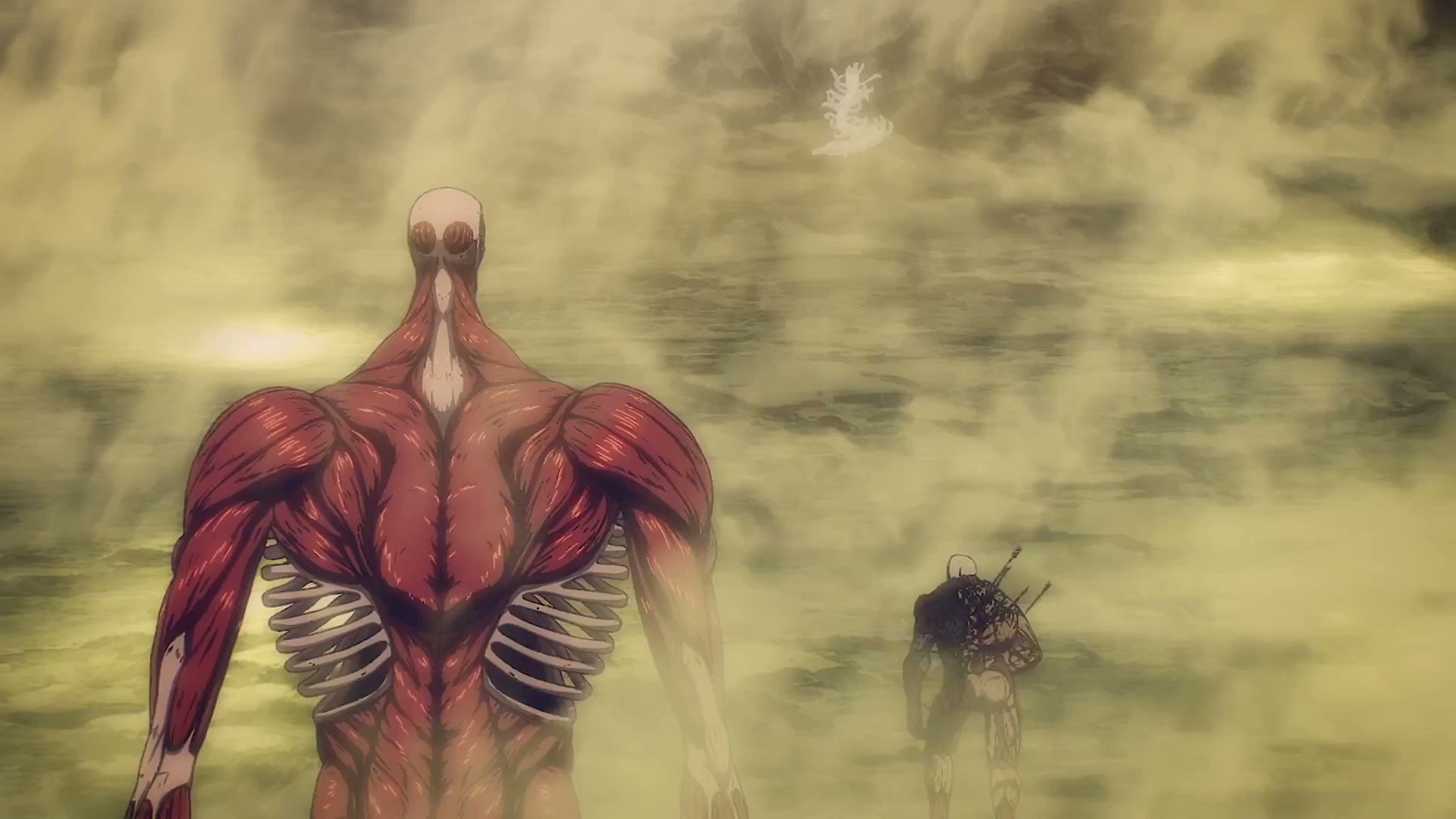 Colossus Titan, Attack on Titan Wiki
