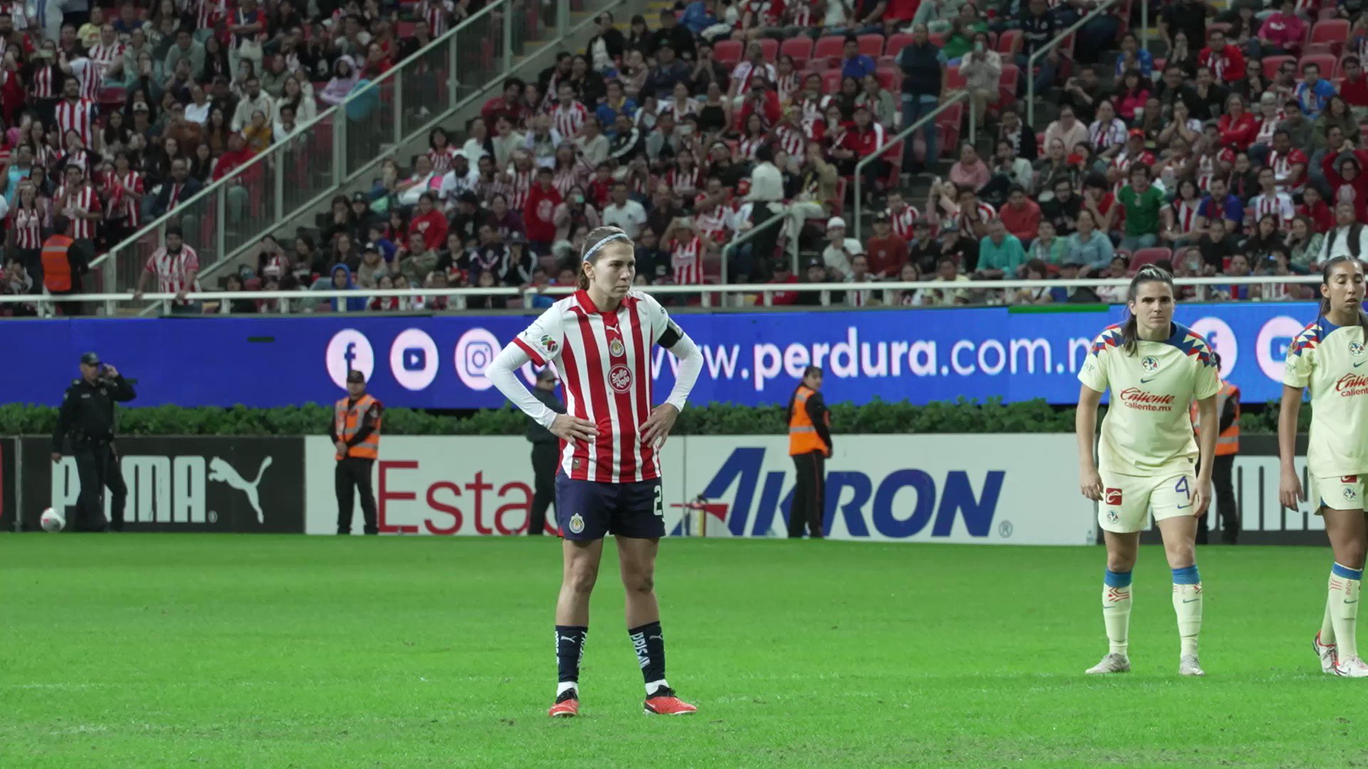  📹#NoTeLoPierdas