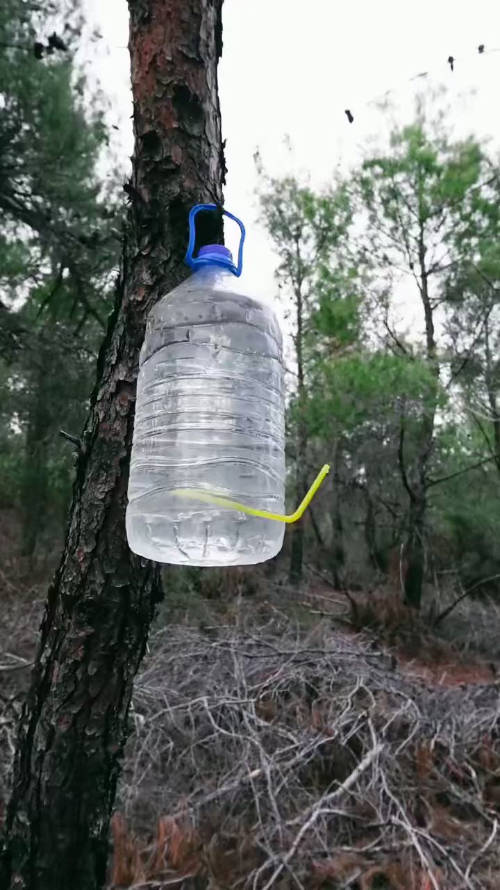 Ti Nanik bokep indo abg mesum viral XX 18+ HD 2023 (@nanik_tia)  X