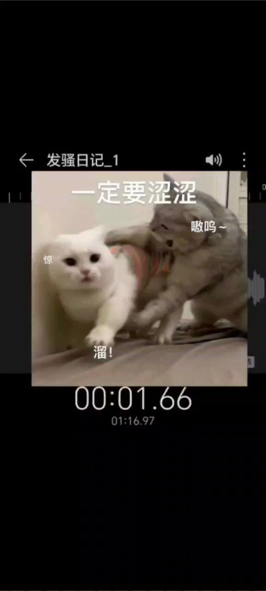 媒体预览