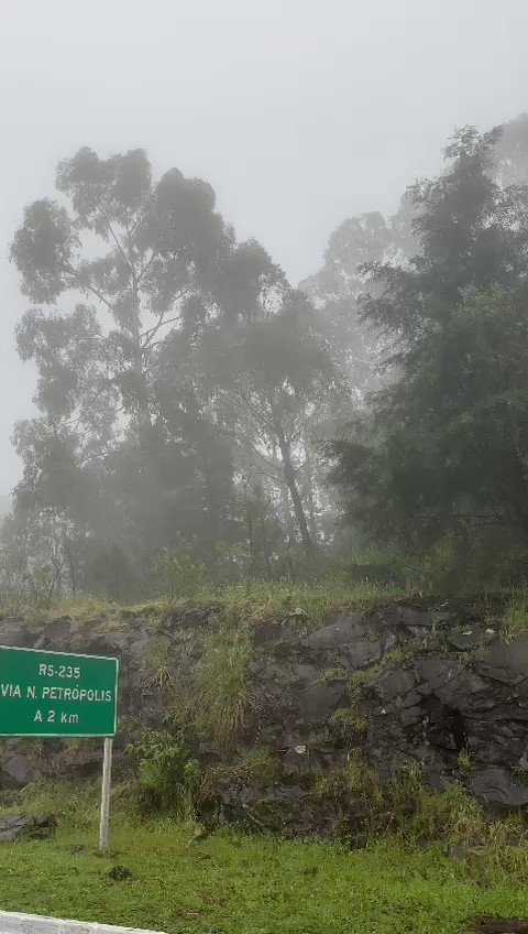 Desenhista de Gramado tem 15 milhões de inscritos em seu canal no - Região - Jornal NH