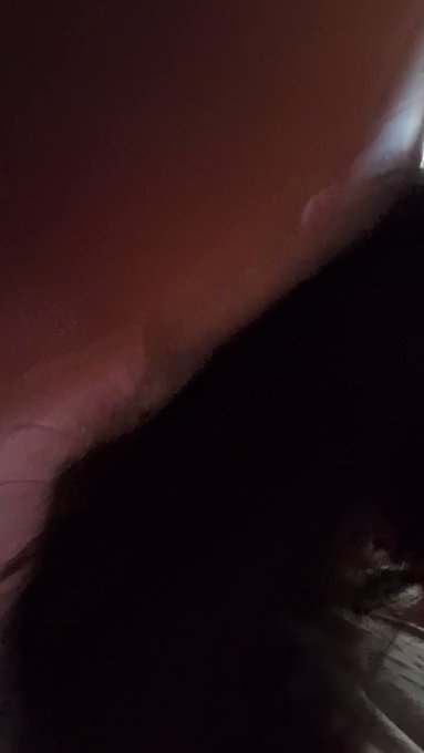 Nick Desh’s pics and videos