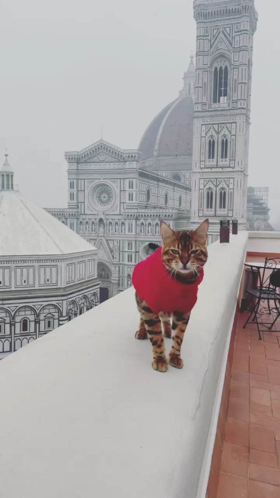 フィレンツェ 猫のいるドゥオーモ ドゥオーモ付属美術館 クチコミ