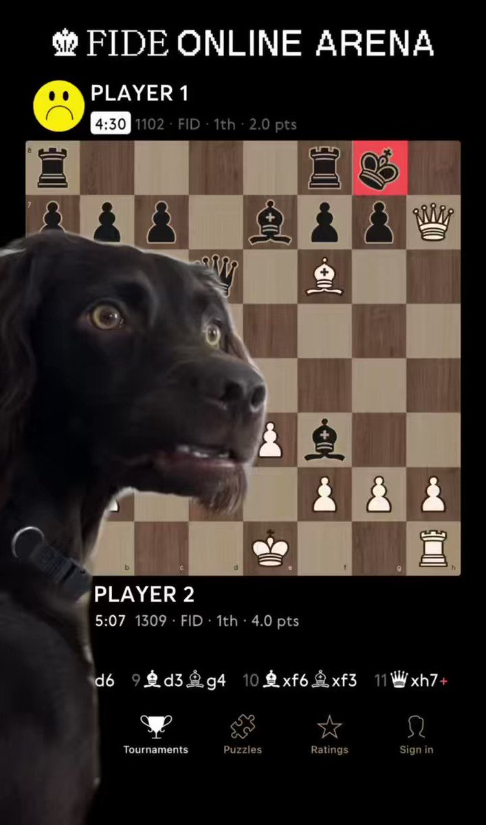 New on FIDE Online Arena — a game widget that follows you around the  platform 