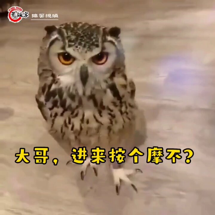 儿子真实乱伦 日本 按摩    