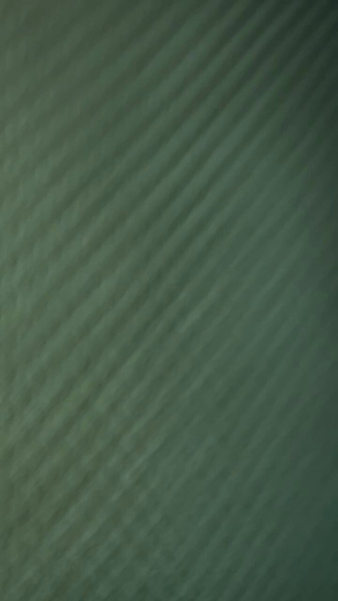 Scott Irish’s pics and videos