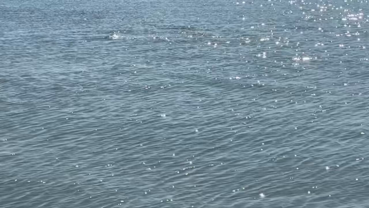 Buse Aydın @Buseeydinn  X 