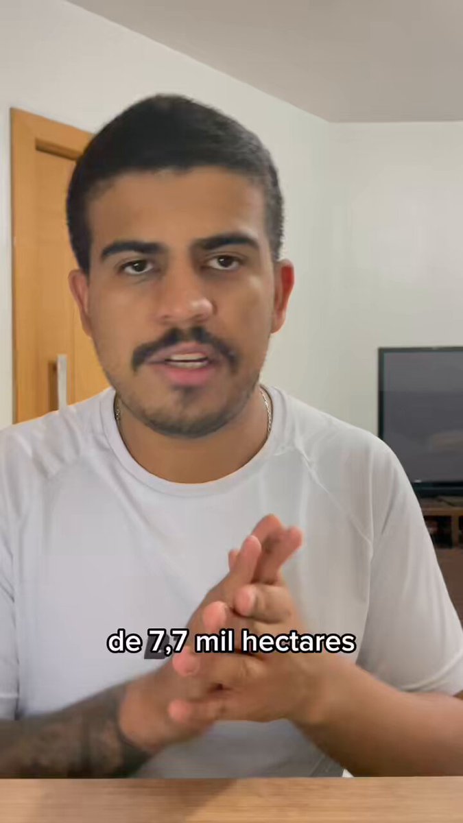 A TRISTE HISTÓRIA DE NIKO BELLIC