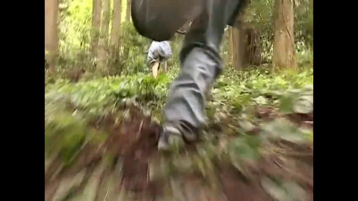 必死に逃げる女。 必死に追う男。 山中のチェイス。 しかし、追い縋る男に捕まる女。 女は男に乱暴を受け死を覚悟し、何かを諦めた様ですらあった。 男は捕らえた女の服を剥ぎ、露わになる乳房を乱暴に揉みしだき、舐め上げる。 そして…。
