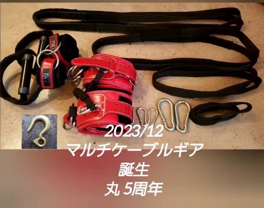 マルチケーブルギア ナルシス山本 - トレーニング/エクササイズ マルチケーブルギア ナルシス山本 - トレーニング/エクササイズ