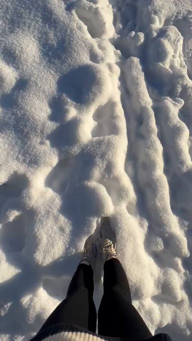 My vacation on both sides🫣  https://t.co/aVBEnVwoY0 https://t.co/6GoNMNdqli