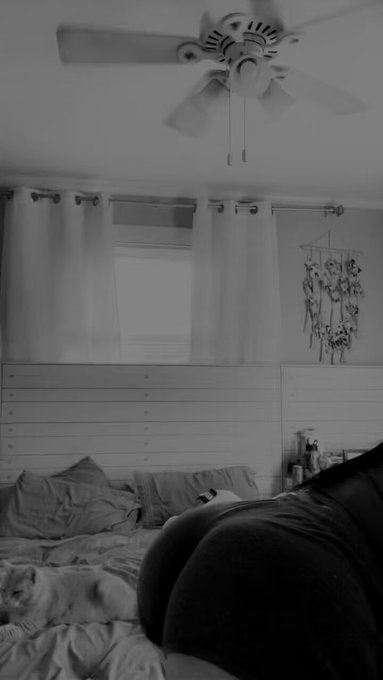 Ashley Paige’s pics and videos