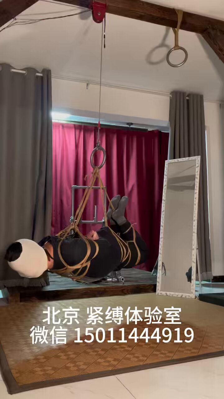 驷马  / X