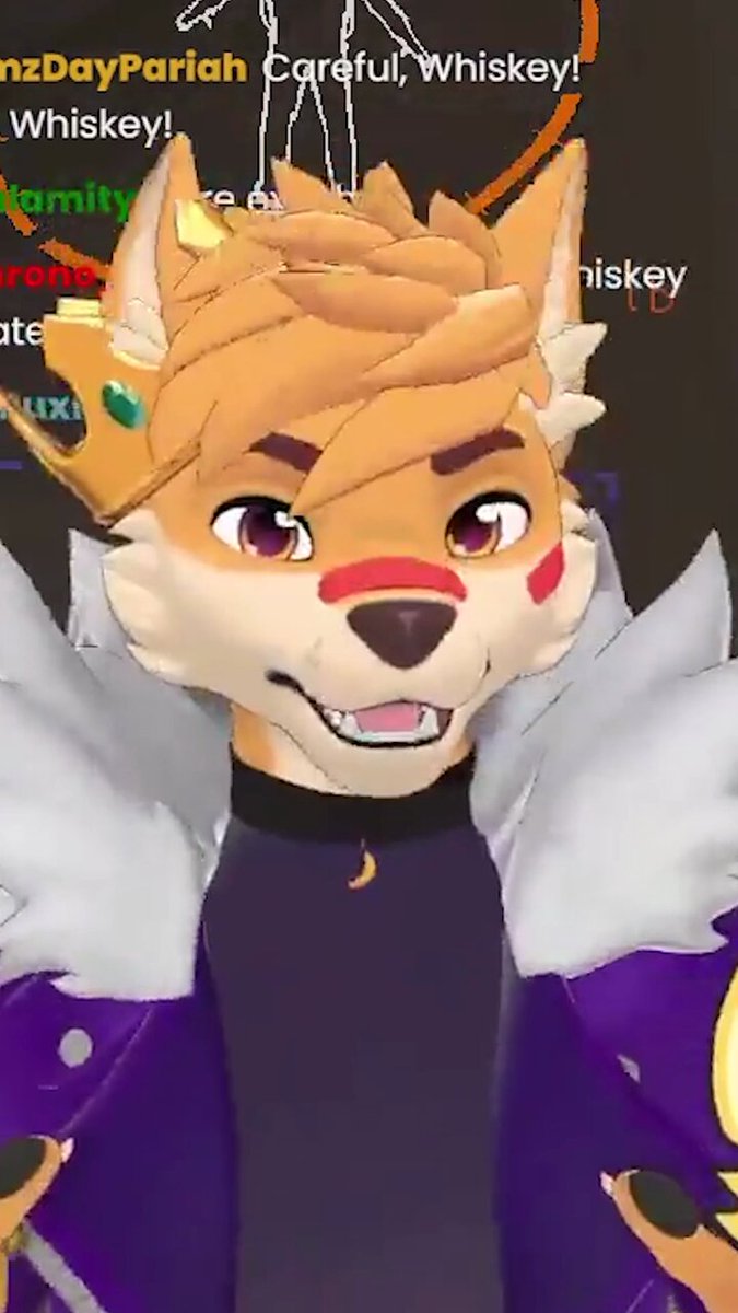 itsYaBoiWhiskey on X: Dingo Boi going live on twitch once more