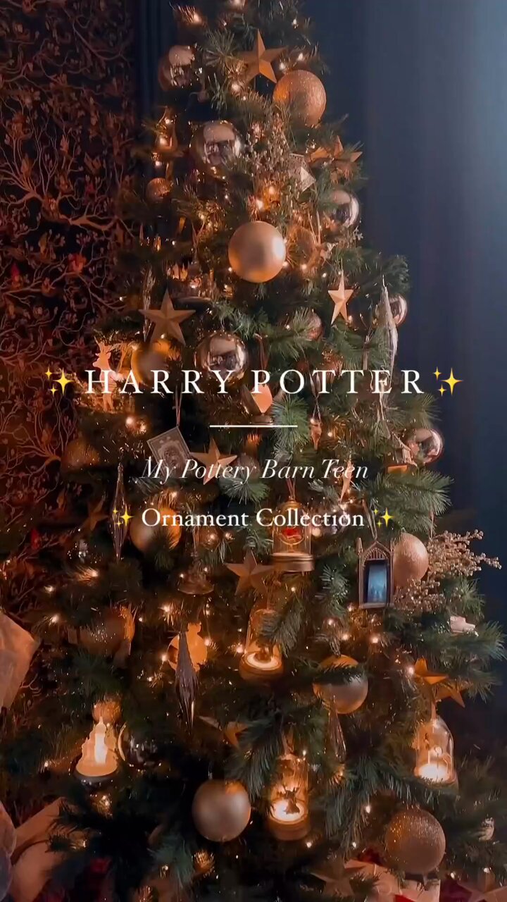 I've spent £600 and MONTHS decorating my Harry Potter-themed Christmas tree  - I do it every year, it's an investment